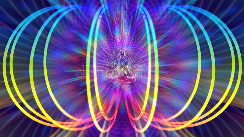 Torus field meditation